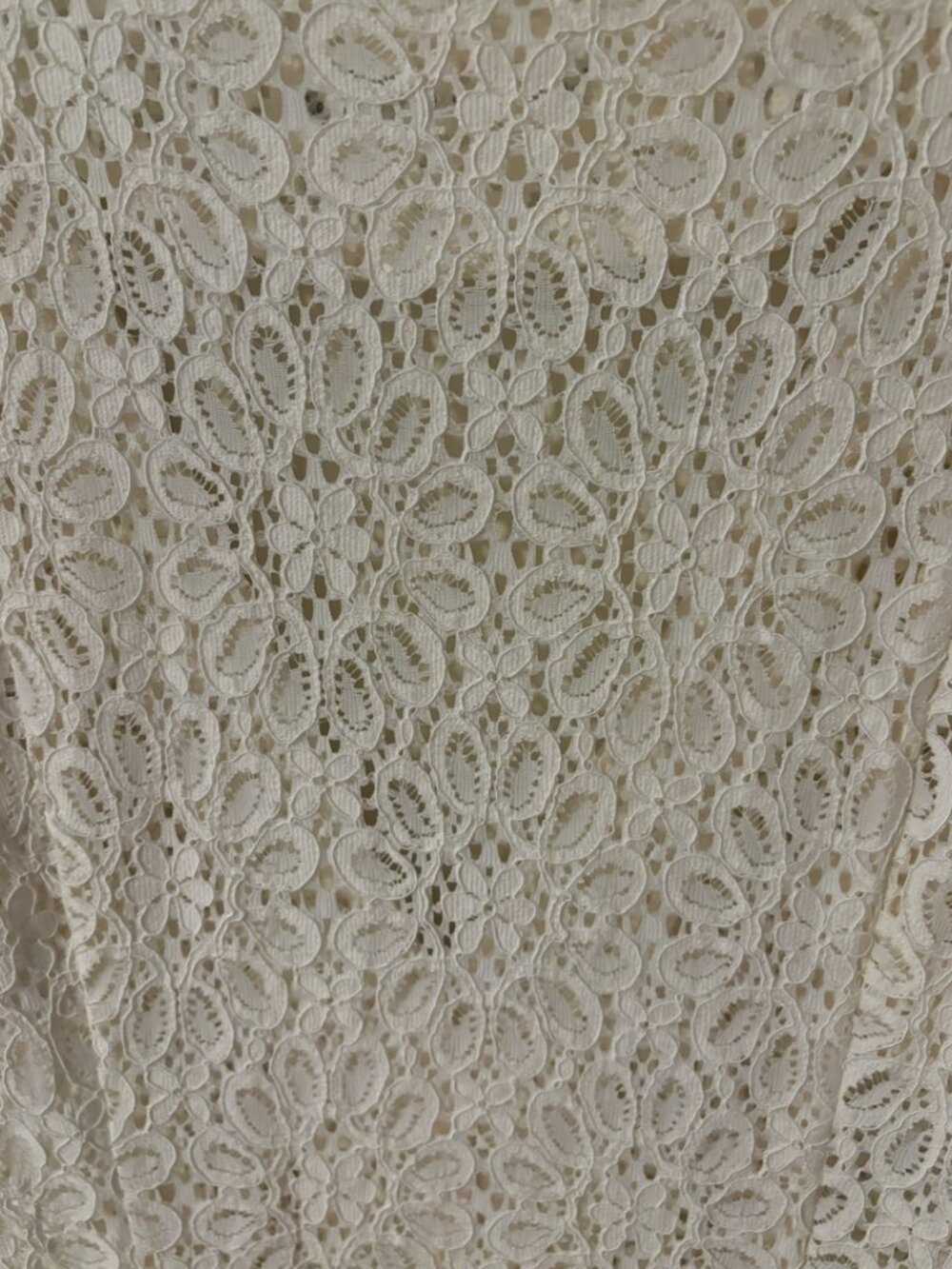 Designer Lace Bridal Shower Dress - Ivory - Mr. Larkin - Size M - Never Worn!!! - Picture 5 of 5